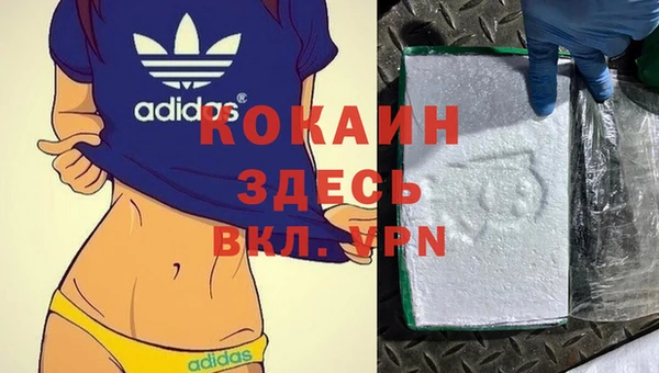 стафф Арсеньев